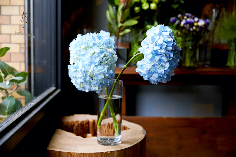 お気に入りの花瓶が一つあれば、それに対して花をどんなバランスで見せたいかを考える事が大切。